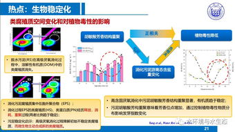 城市污水廠污泥處置工藝技術路線——同濟戴曉虎教授技術推廣